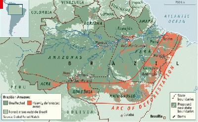 Protecting Brazil’s forests : Fiddling while the Amazon burns