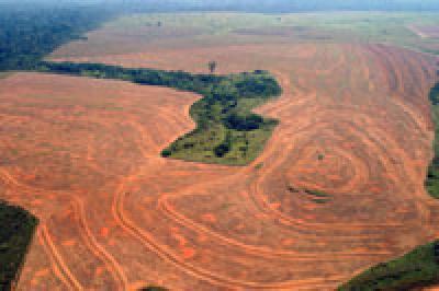 While Brazil Urges Climate Consensus Abroad, Environmental Concerns Loom at Home