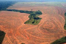 While Brazil Urges Climate Consensus Abroad, Environmental Concerns Loom at Home