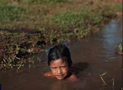 Una tragedia indígena