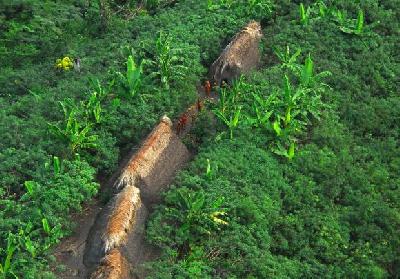 Funai suspeita que existam tribos indígenas próximas às usinas na Amazônia