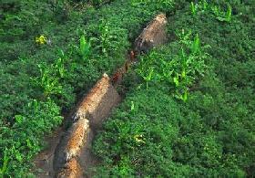 Funai suspeita que existam tribos indígenas próximas às usinas na Amazônia