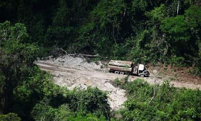Amazon defenders face death or exile