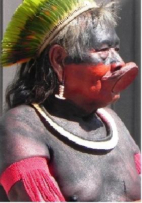 Carta aberta à Presidenta Dilma e à sociedade brasileira sobre indicação para a presidência da Funai