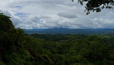 La Amazonia brasileña ha perdido una superficie más grande que Francia en los últimos 40 años