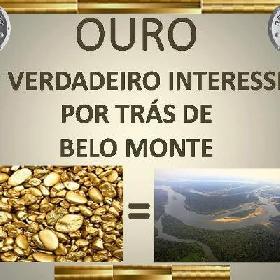 Le scandale de l'or à l'odeur de mort : un programme minier dévoilé révèle le vrai motif de la construction de Belo Monte