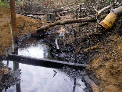 Peru Government to Test for Oil Contamination in Indigenous Territories; Indigenous Leaders Call for Transparency