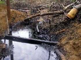 Peru Government to Test for Oil Contamination in Indigenous Territories; Indigenous Leaders Call for Transparency