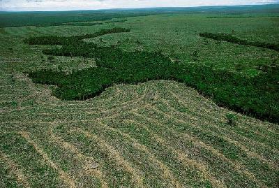 Google Earth Engine: for tracking deforestation in the Amazon - video