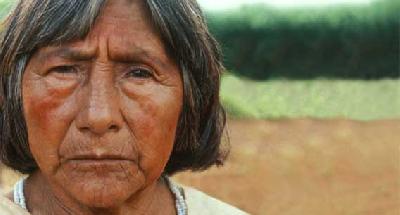 Génocide indigène en vue au Brésil : la Justice Fédérale ordonne l’expulsion des indiens Guarani-Kaiowá