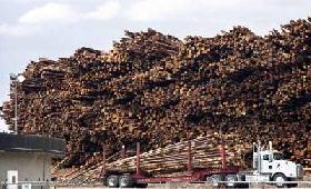 Barrage du Belo Monte : il faut joindre nos forces