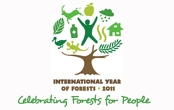 2011 : Bonne Année internationale des Forêts à tous !