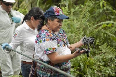 Rigoberta Menchu témoigne des dégâts causés par Chevron en Équateur