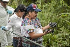 Rigoberta Menchu denuncia los daños ocasionados por Chevron en Ecuador.