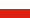 Polski Raoni.com - Na poparcie walki szefa Raoni o las deszczowy Amazonii