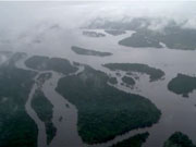 A Call for Renewable Energy in Brazil A Call for Renewable Energy in Brazil